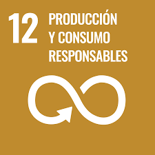 17 Objetivos del Desarrollo Sostenible: Producción y Consumo Responsables (ODS 12)