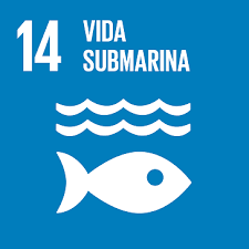 17 Objetivos del Desarrollo Sostenible: Vida Submarina (ODS 14)
