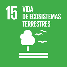 17 Objetivos del Desarrollo Sostenible: Vida de Ecosistemas Terrestres (ODS 15)