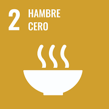 17 Objetivos del Desarrollo Sostenible: Hambre Cero (ODS 2)